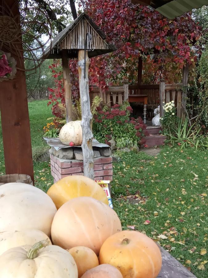 Pidkova Villa Верховина Екстериор снимка