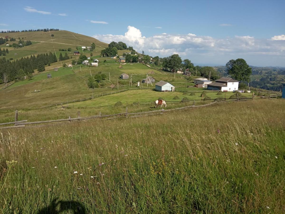Pidkova Villa Верховина Екстериор снимка