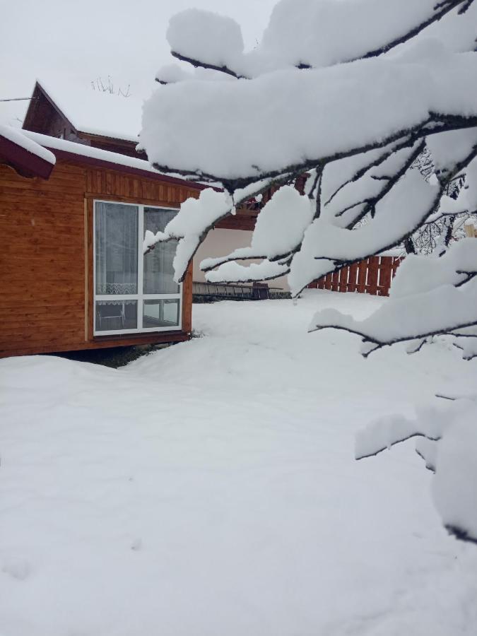 Pidkova Villa Верховина Екстериор снимка
