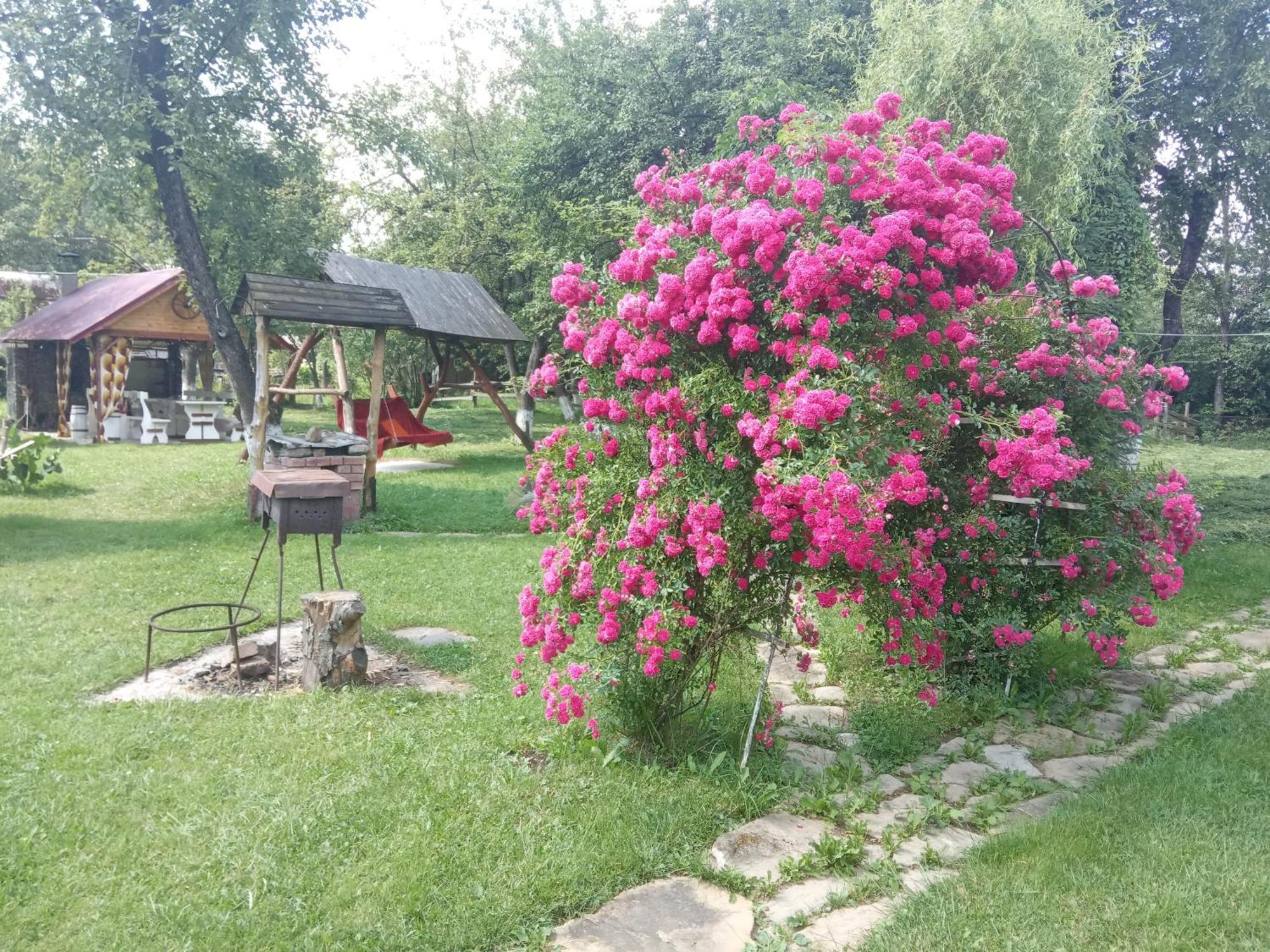 Pidkova Villa Верховина Стая снимка