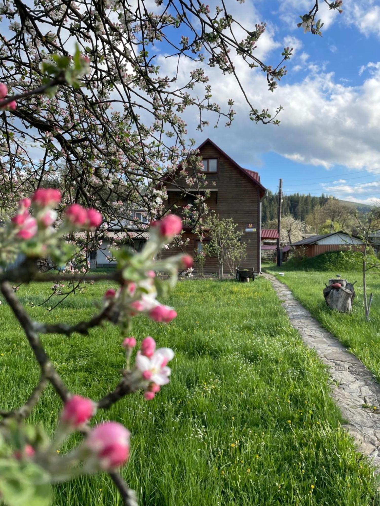 Pidkova Villa Верховина Екстериор снимка
