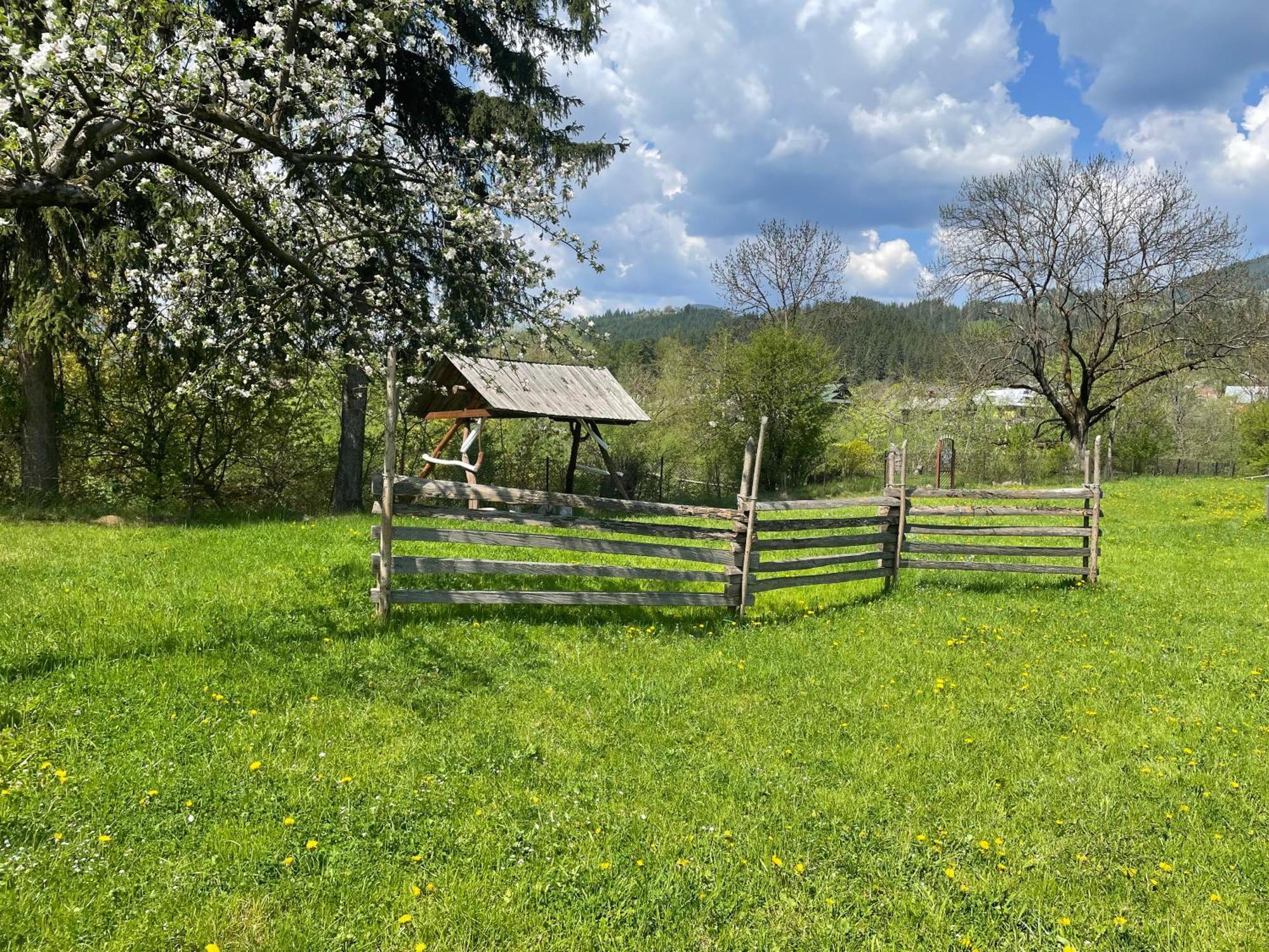 Pidkova Villa Верховина Екстериор снимка