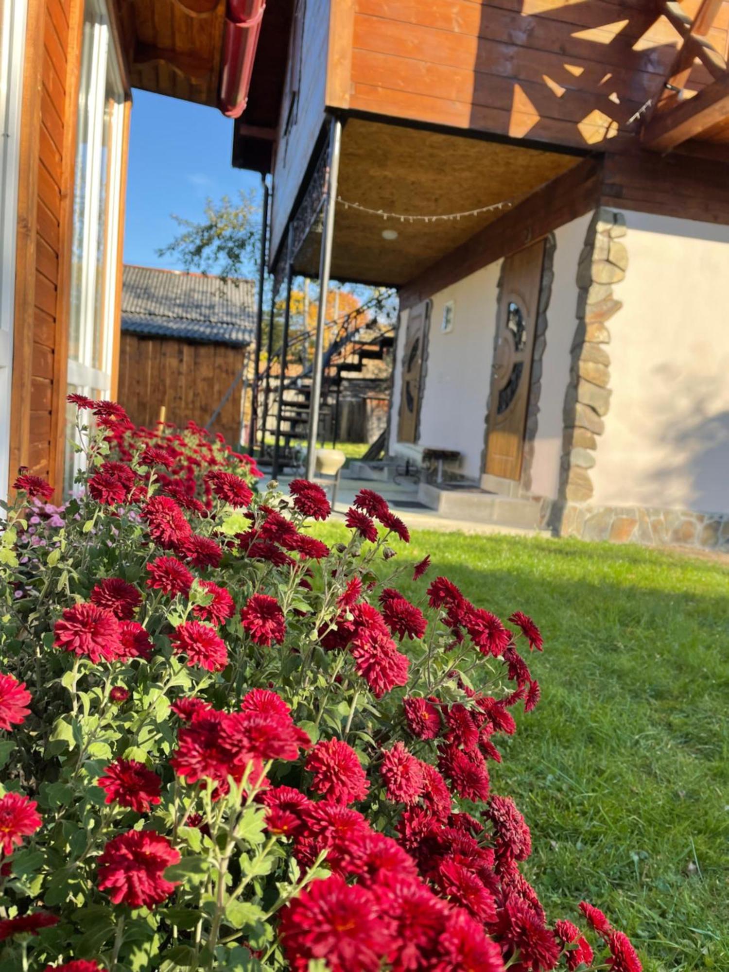 Pidkova Villa Верховина Екстериор снимка